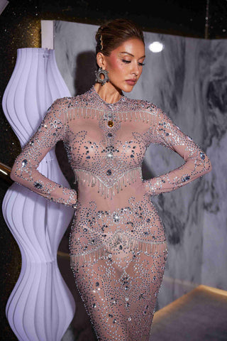 Alonzo Rhinestone Fringe Mesh Maxi Dress Alonzo Rhinestone Fringe Mesh Maxi Dress