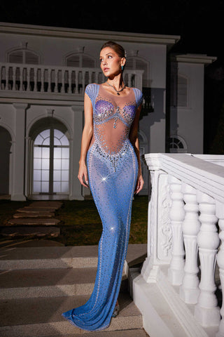 Odin Rhinestone Printed Mesh Maxi Dress Odin Rhinestone Printed Mesh Maxi Dress