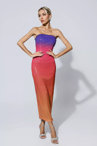 Regina Multicolored Sequin Bodycon Dress Regina Multicolored Sequin Bodycon Dress