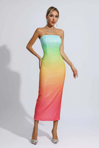 Regina Multicolored Sequin Bodycon Dress Regina Multicolored Sequin Bodycon Dress