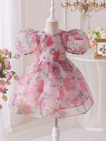 Young Girl Chiffon Ditsy Floral Puff Sleeve Fitted Dress Young Girl Chiffon Ditsy Floral Puff Sleeve Fitted Dress