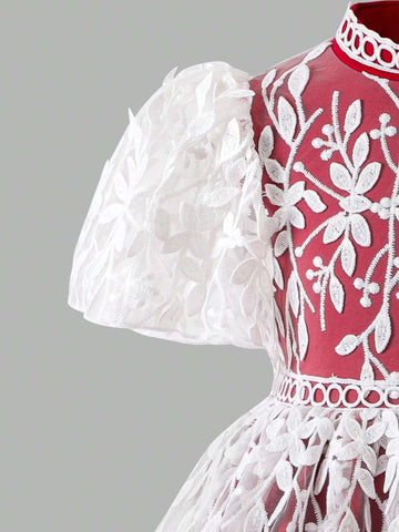 Young Girl's Elegant Vacation Colorblock Embroidered Mesh Puff Sleeve Dress Young Girl's Elegant Vacation Colorblock Embroidered Mesh Puff Sleeve Dress