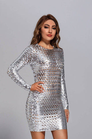 Luna Silver Mesh Bodycon Dress Luna Silver Mesh Bodycon Dress
