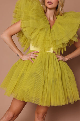 Delaney Tulle Mini Dress