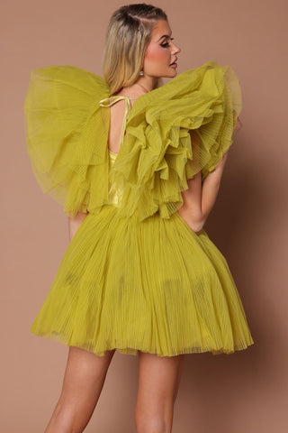 Delaney Tulle Mini Dress