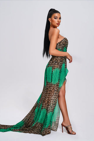 Fenby Leopard Strapless Maxi Dress