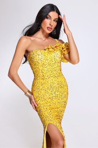 Tianna One Soulder Sequin Maxi Dress