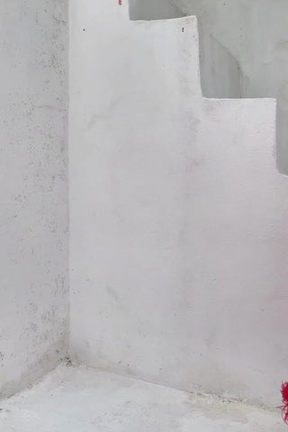 Diana Red Fashion Suit