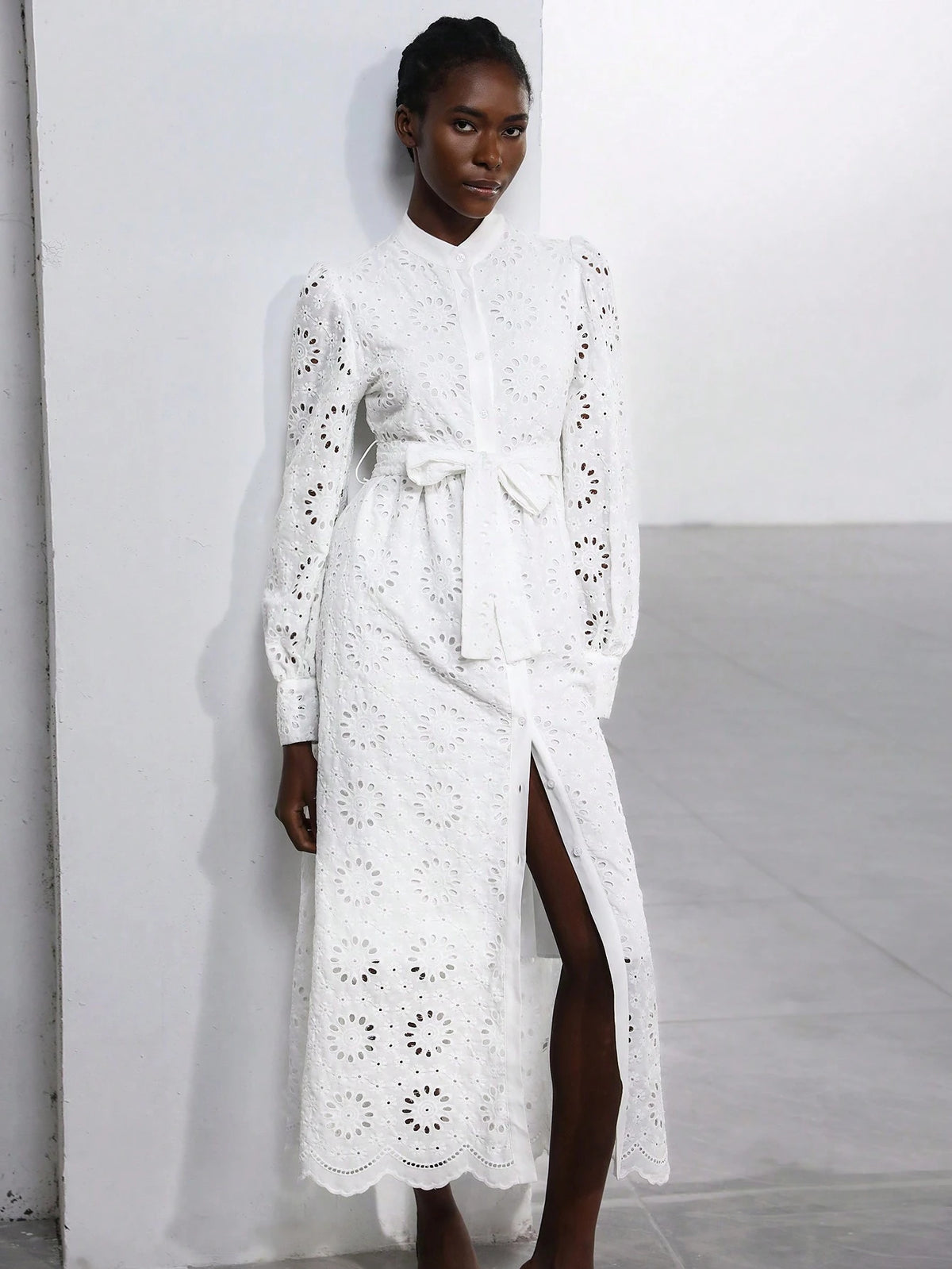 Aveloria Modichic French Romantic Light Vacation Style Stand Collar Belt Decor Hollow Embroidery Long Sleeve Dress For Women, Spring/Autumn