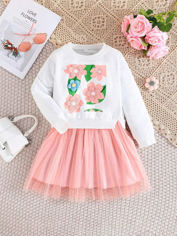 Baby Girls' Long Sleeve Floral Embroidery Mesh Skirt Dress, Spring And Autumn