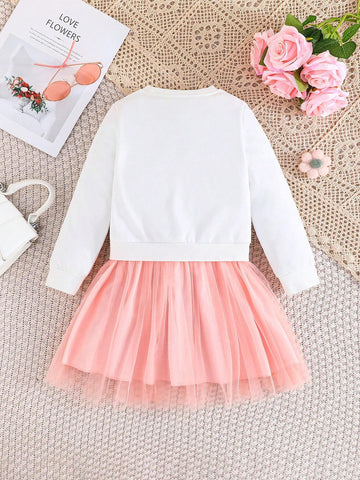Baby Girls' Long Sleeve Floral Embroidery Mesh Skirt Dress, Spring And Autumn
