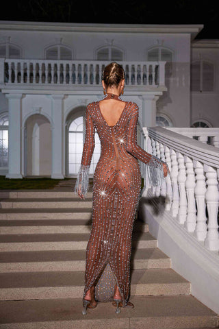 Camilo Embellished Fringe Mesh Maxi Dress