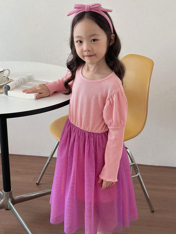 DAZY Young Girl Color Block Mesh Patchwork Casual Dress, Spring Autumn