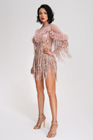 Rei Tassel Mesh Mini Dress