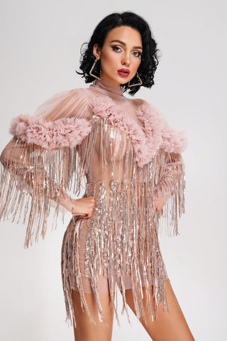 Rei Tassel Mesh Mini Dress