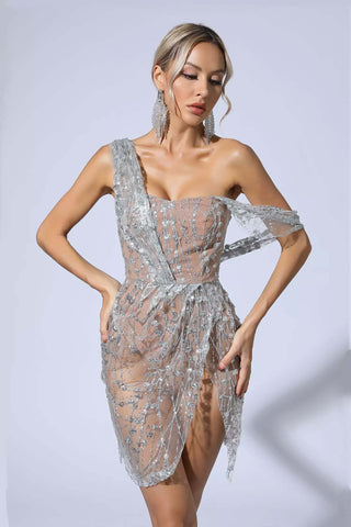 Demi Silver Glitter Mesh Mini Dress