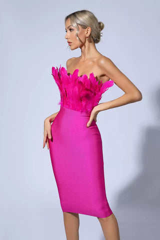 Elianna Dark Brown Feather Midi Dress