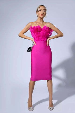Elianna Dark Brown Feather Midi Dress
