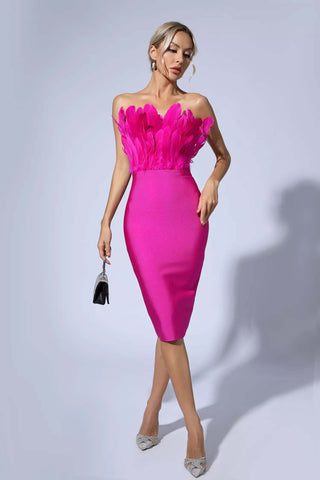 Elianna Dark Brown Feather Midi Dress