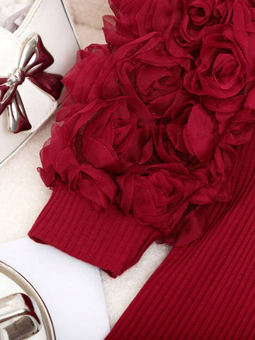 Embroidered Heart Mesh Floral Patchwork Long Sleeve Form-Fitting Dress For Little Girls, Autumn