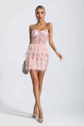 Evelyn Pink Tassel Tube Top Mini Dress