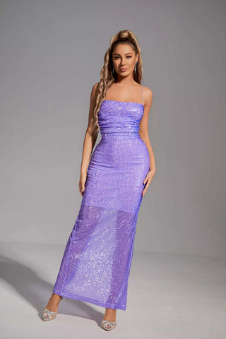 Gabriela Purple Sequin Maxi Dress