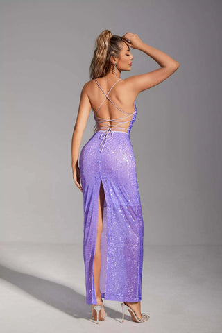 Gabriela Purple Sequin Maxi Dress