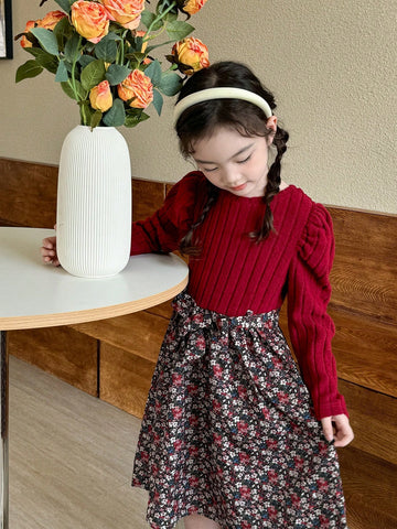 Young Girl Casual Ditsy Floral Patchwork Puff Sleeve Dress, Autumn/Winter