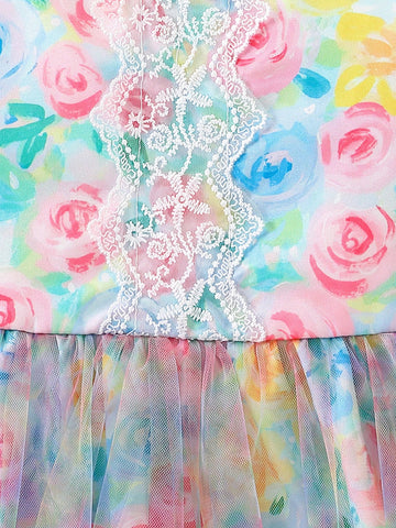 Girls' 4-7 Years Lace Applique Cap Sleeve Floral Waist Net Tulle Dress