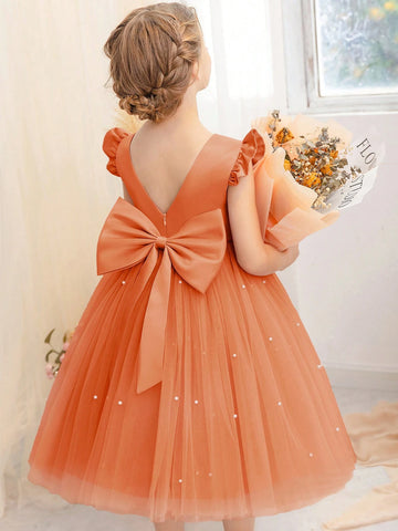 Girls Cap Sleeve Tulle Princess Dress, Suitable For Birthday Party, Halloween Cosplay, Masquerade, Casual, Instrument Performance, Stage Show Costume