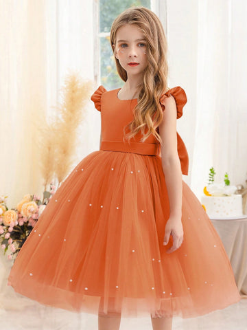 Girls Cap Sleeve Tulle Princess Dress, Suitable For Birthday Party, Halloween Cosplay, Masquerade, Casual, Instrument Performance, Stage Show Costume
