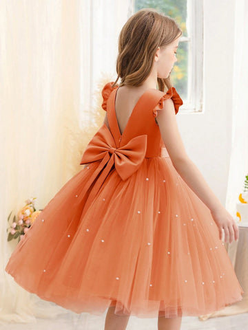 Girls Cap Sleeve Tulle Princess Dress, Suitable For Birthday Party, Halloween Cosplay, Masquerade, Casual, Instrument Performance, Stage Show Costume