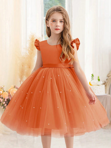Girls Cap Sleeve Tulle Princess Dress, Suitable For Birthday Party, Halloween Cosplay, Masquerade, Casual, Instrument Performance, Stage Show Costume