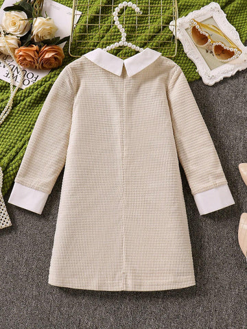 Girls' Casual Collared Spliced Textured Fabric A-Line Dress, School Style