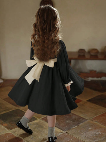 Girls Colorblock Lace Trim Princess Dress, Autumn/Winter, Elegant Princess Style For Birthday Party