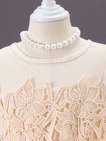 Girls Gorgeous Cute Party Dress In Mesh Champagne Color