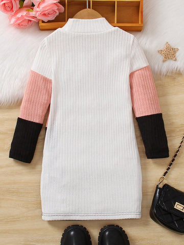Girls Spring/Autumn Casual Colorblock Half Turtleneck Long Sleeve Dress, Little Girl