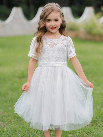 Girls' Sweet & Lovely Gradient Pink Butterfly Puff Sleeve Mesh Patchwork Dress