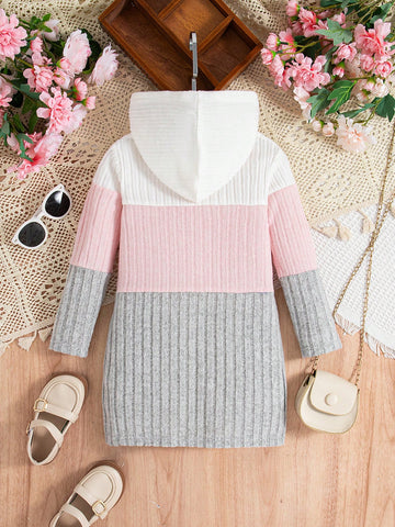 Girls Tri-Color Patchwork Fuzzy Rib Knit Hooded Dress