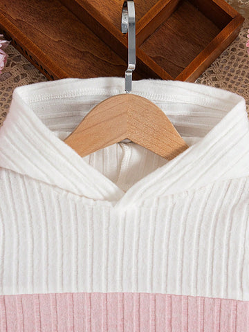 Girls Tri-Color Patchwork Fuzzy Rib Knit Hooded Dress
