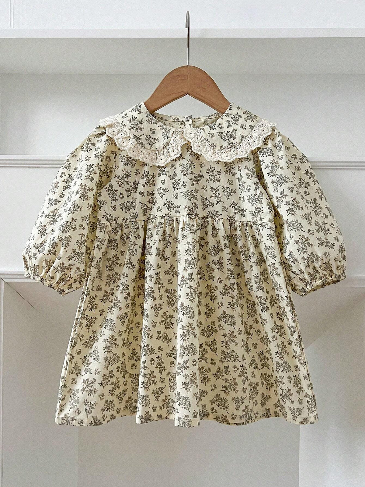 Infant/Young Girl Floral Lace Trim Long Sleeve Princess Dress, Spring Autumn Season