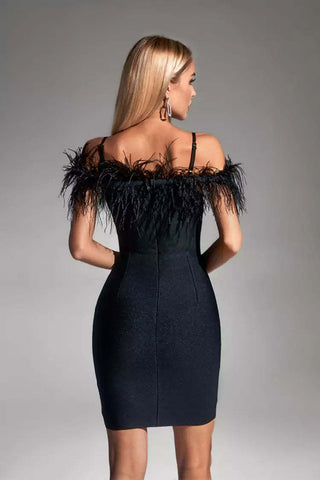 Kaia Black Feather Dress