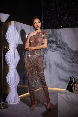 Kason Rhinestone Fringe Printed Mesh Maxi Dress