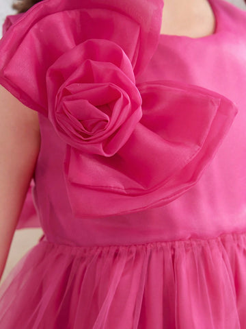 Little Girls' Sleeveless 3D Flower Mesh Dress