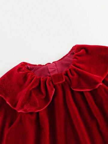 Young Girls Elegant High Collar Puff Sleeve Long Sleeve Velvet Dress, Autumn