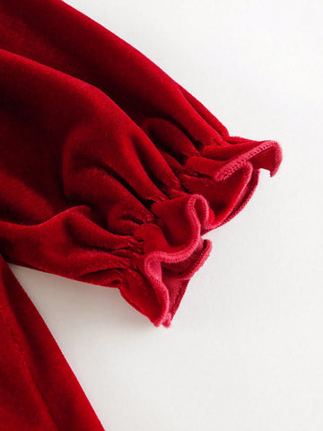 Young Girls Elegant High Collar Puff Sleeve Long Sleeve Velvet Dress, Autumn