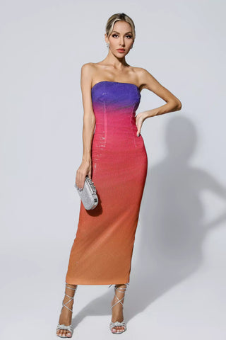 Regina Multicolored Sequin Bodycon Dress