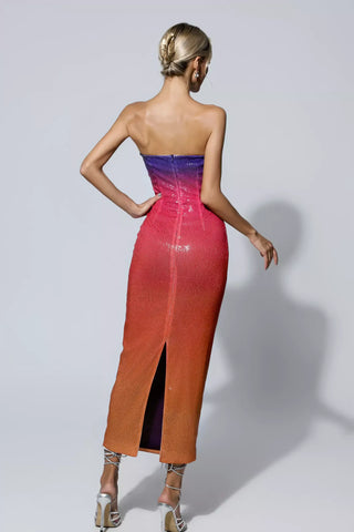 Regina Multicolored Sequin Bodycon Dress