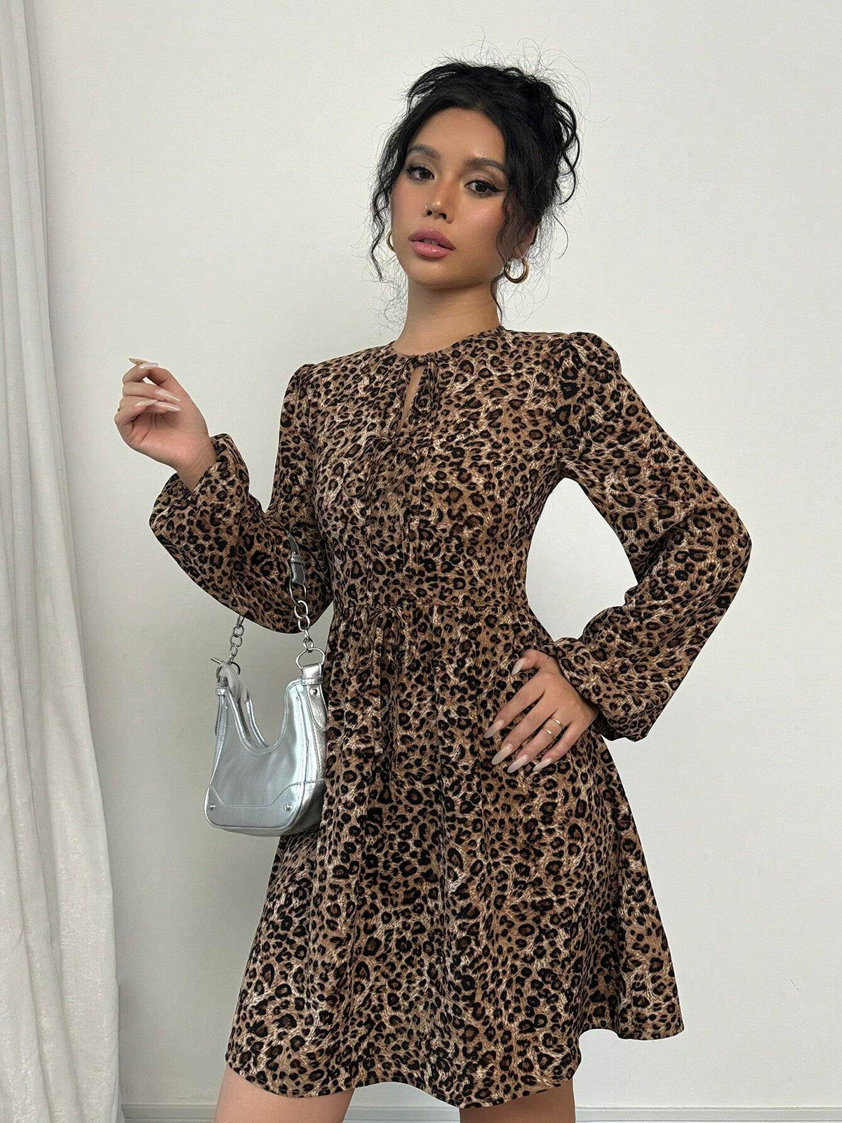 Leopard Print Long Sleeve A-Line Dress