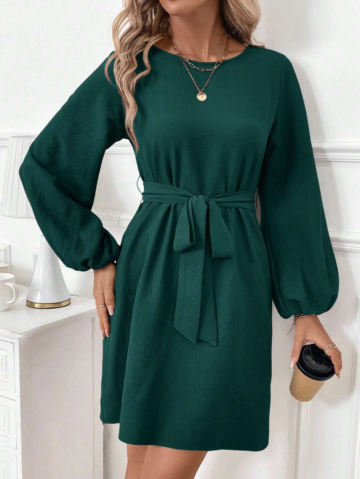 Women's Brown Crew Neck Puff Sleeve Cinched Waist Bow Short Dress, Elegant Fashion Fit For